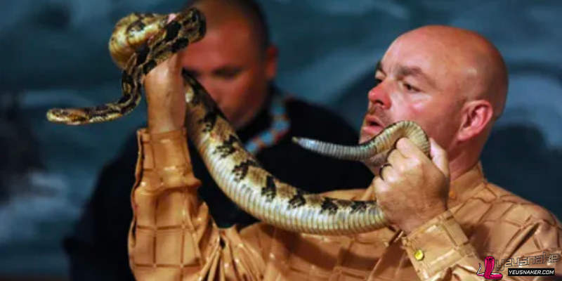 The Practice of Handling Snakes in Religious Ceremonies